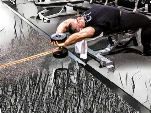 Back & Biceps