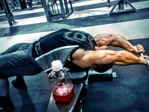 Primary Back & Biceps