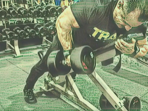 Primary Back and Biceps