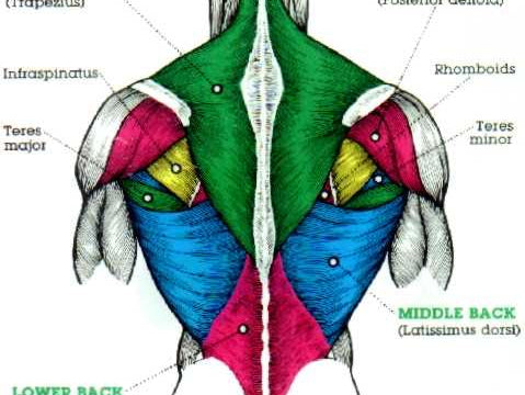 Bench Volume and Avoiding Pain (430x5)