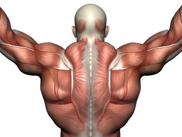 Simple Technique to Overload Lat Pull Downs