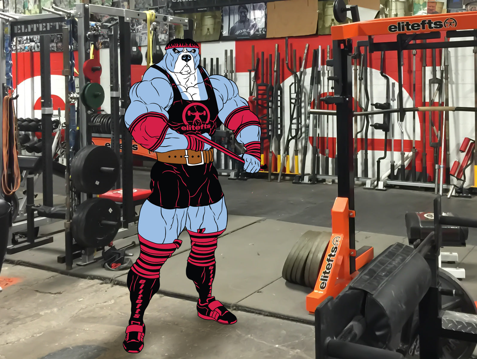 RawDog