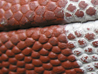 Interview with Collegiate Strength Coach Specialist Joe Kenn Part 3&4