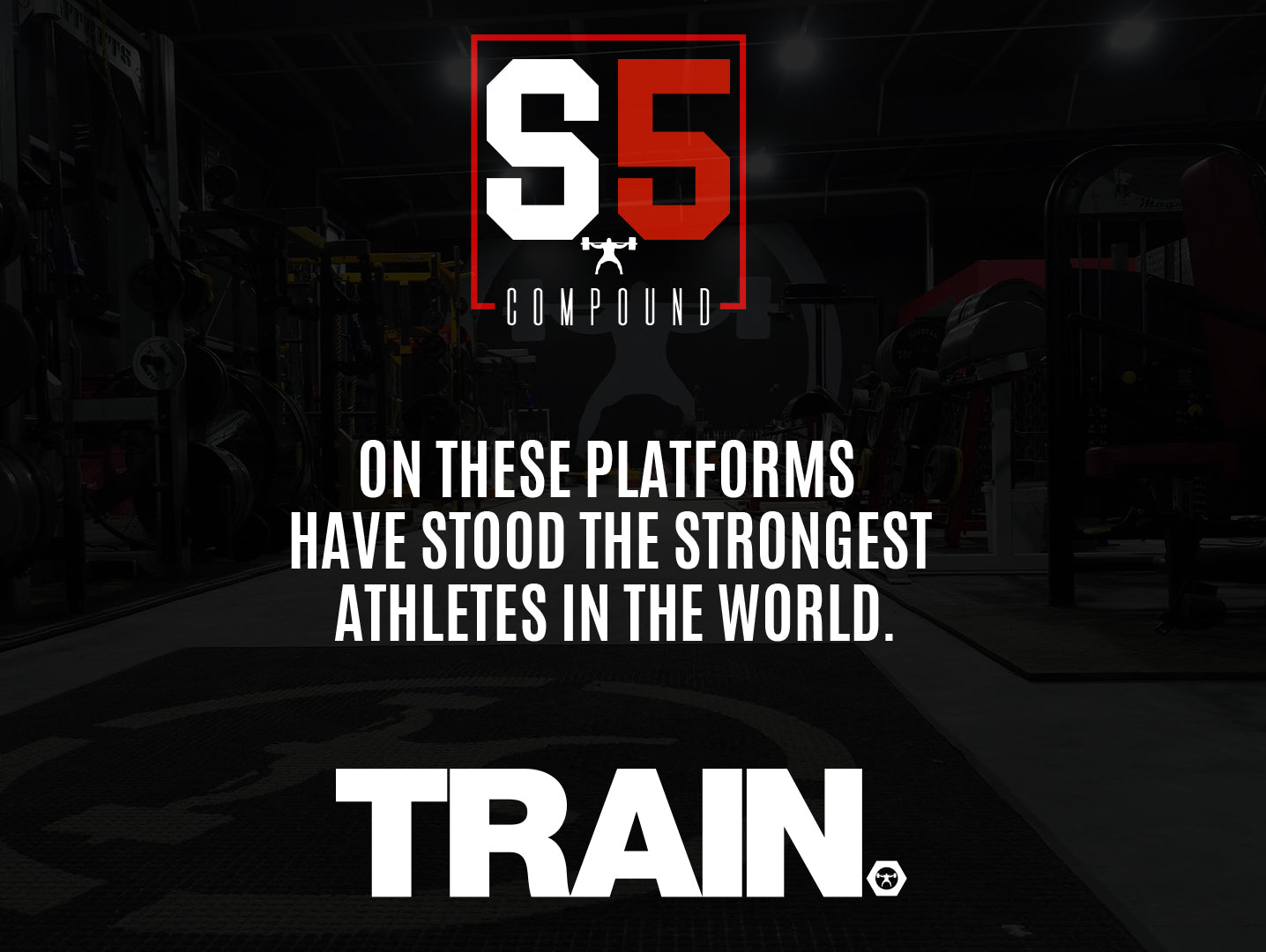 Training at Elitefts