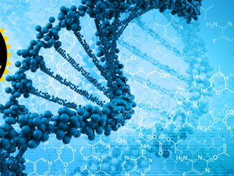 Science of Lifting: The New Golden Age of Strength and Conditioning