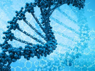 Muscle Protein Synthesis and the Anabolic Window