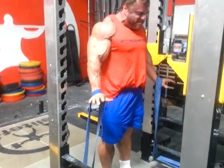 Elitefts™ Pro Band Shrugs