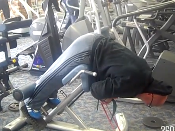 Elitefts™ Banded 45-Degree Back Raises