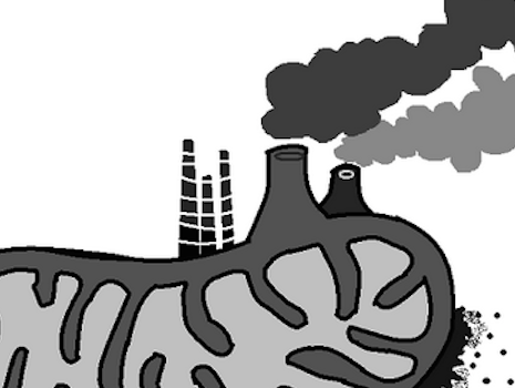 Not a $100 bill, but still a buck!