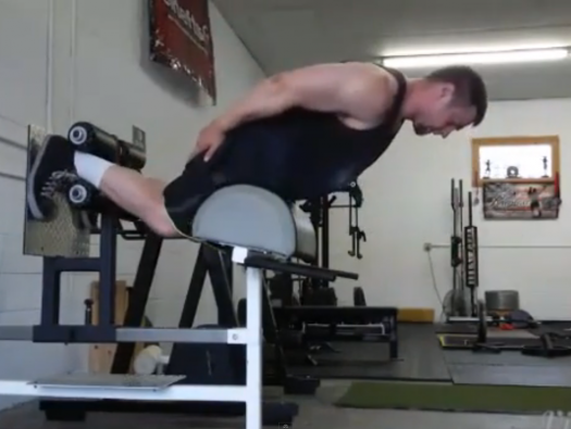 elitefts™ Glute-ham Raise Ladders