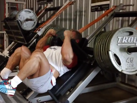 elitefts™ Reverse Band Hack Squats