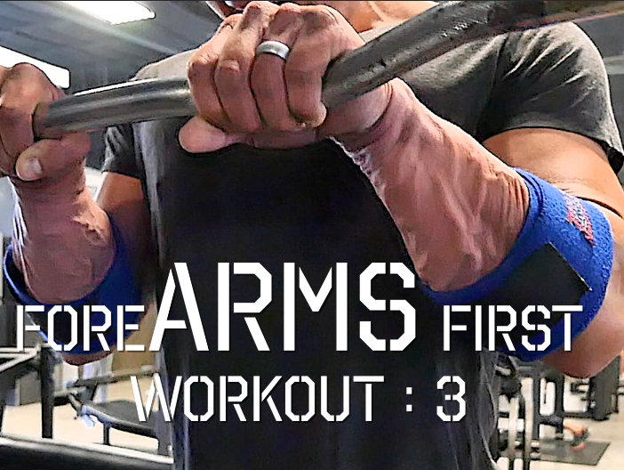 Training Updated/Forearms