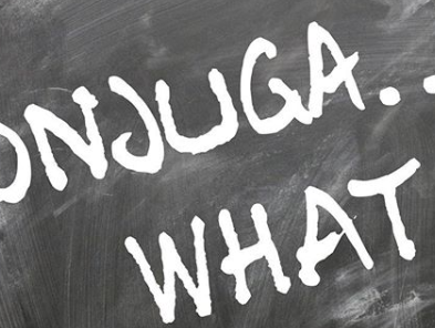 CONJUGATE TRAINING FACTS