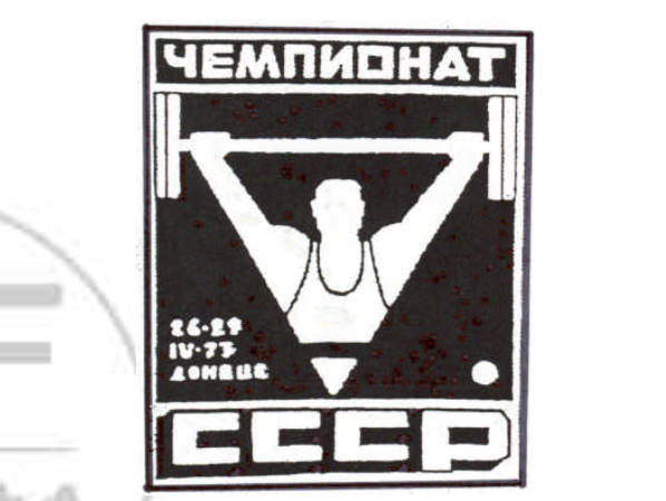 The Development of the Russian Conjugate Sequence System