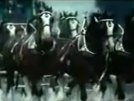 9/11 Tribute Commerical