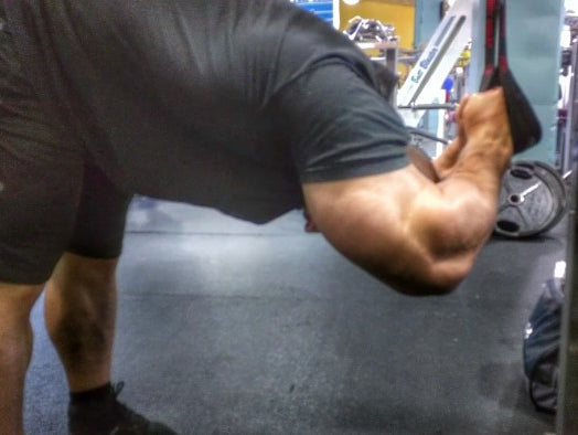 Biceps & Triceps Training