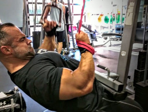 Primary Back & Biceps