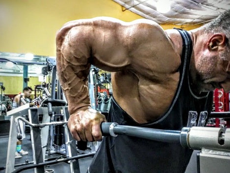 Primary Chest, Shoulders and Triceps