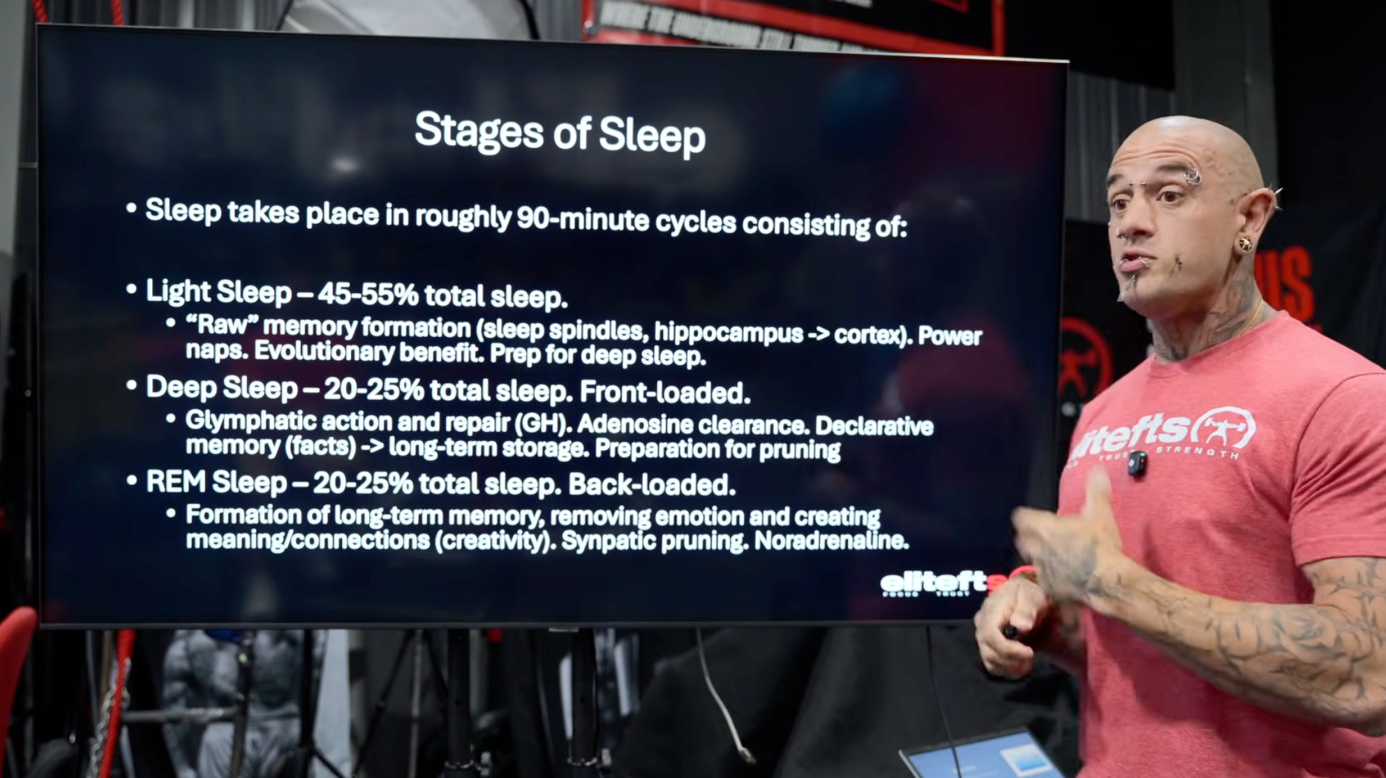 sleep stages