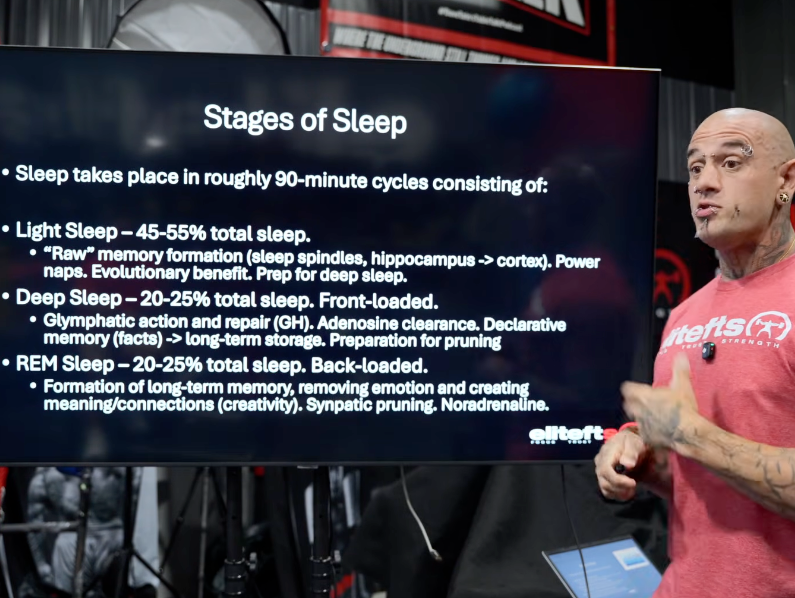 sleep stages