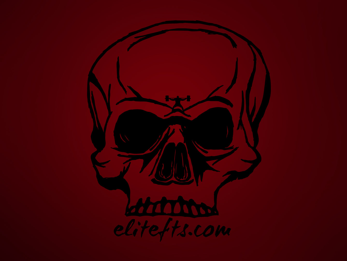 Deadlift Training - Pernicious Powerlifting