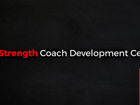 The Coach's Guide to Programming and Periodization: Basic Principles and Your Exercise Bank