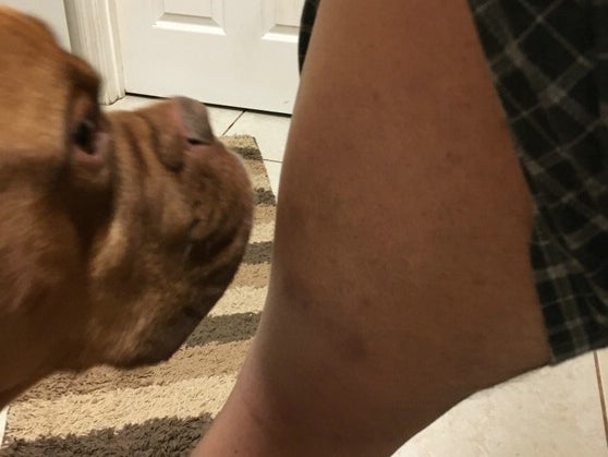 4/11- High Squats and Garlic Knots, 7 Weeks out from the APF Equipped Nationals