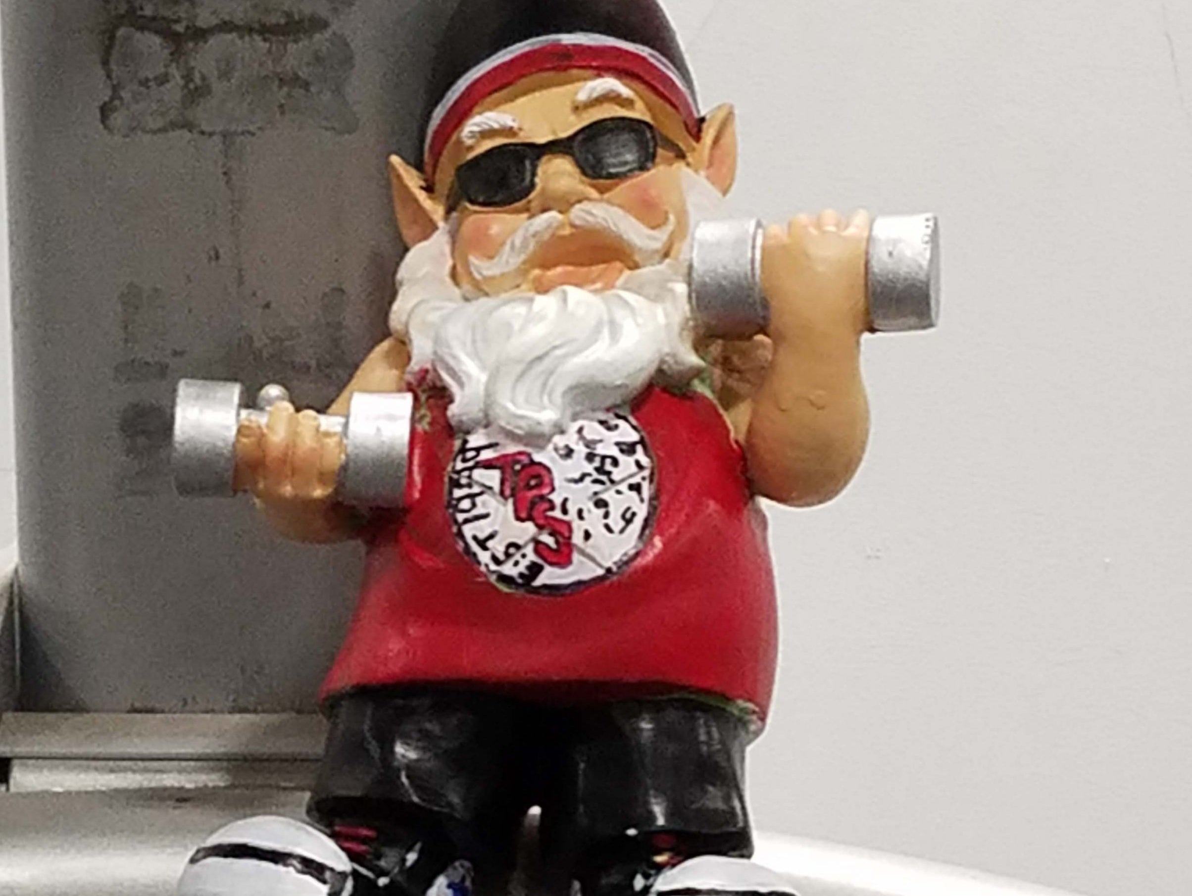 I asked the lady "How much for the angry lawn gnome?"