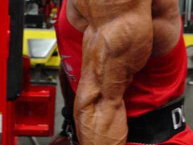 Bodybuilding Day: Chest, Shoulders, Triceps