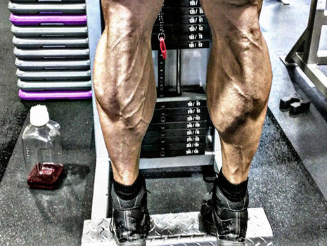 Calves to Cows — 5 Methods to Improve Your Calf Development