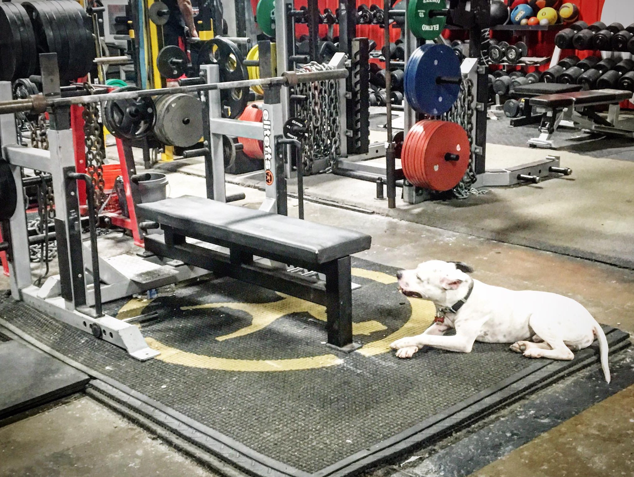 First Day Back Benching