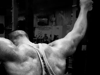 The WTF Factor: WTF Nutrition