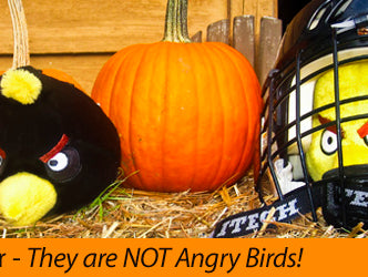 They are NOT Angry Birds! (Part 2.1)
