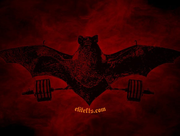 Training 3 Weeks Out