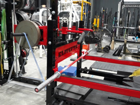 Quick Lower Body Day and High Rep Belt Squats