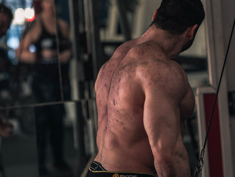 Powerlifting for the Bodybuilder — The Triceps