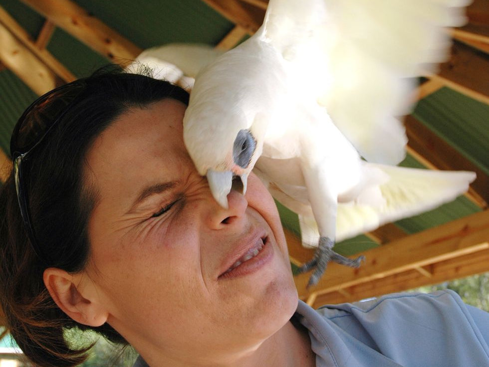 What Do YOU Think Sucks?