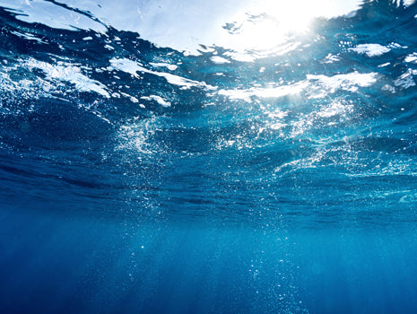 Disruptive Innovation and Blue Ocean Strategies