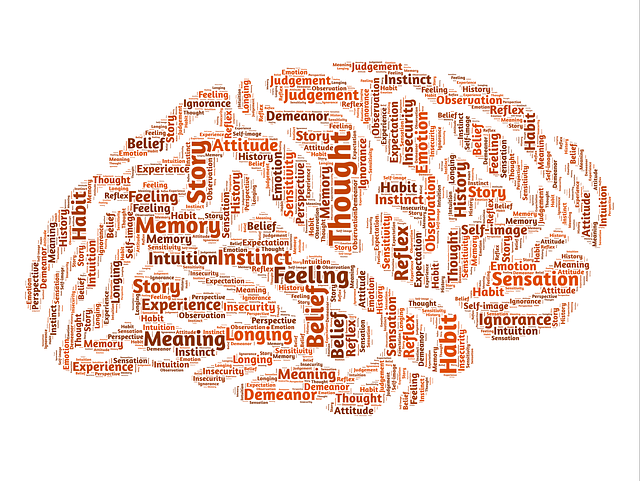 Do you know your own brain?