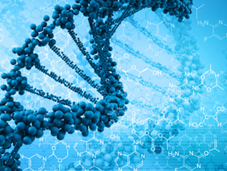 Unraveling Insulin Resistance