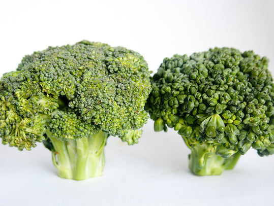 The Power of Intuition