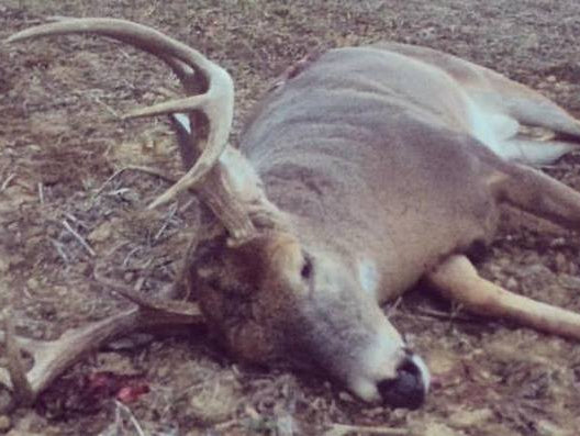 6 Weeks Out - Paused Front Squats, Seated Axle Press & a Hunting Story?