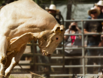 Beginning a New Dance