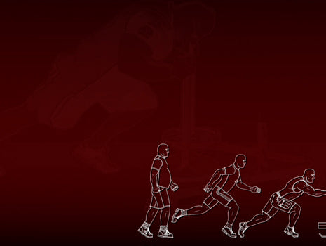 November's GPP for Your Business