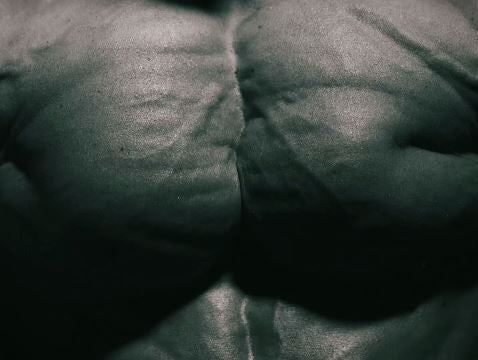 Big manly man pecs