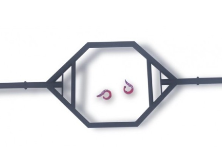 12.22.2022 What the heck to call them?