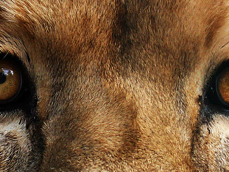 What Lifters Can Learn from Cyclists