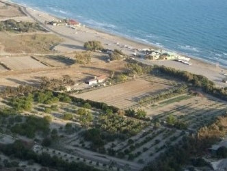 The Darden Diaries: We've All Been There