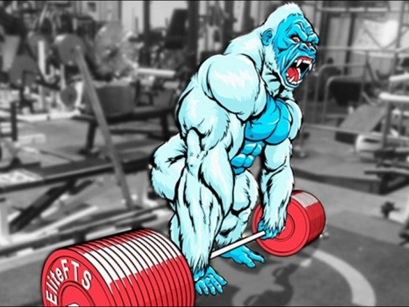 First heavy Deadlift in forever (725lbs)