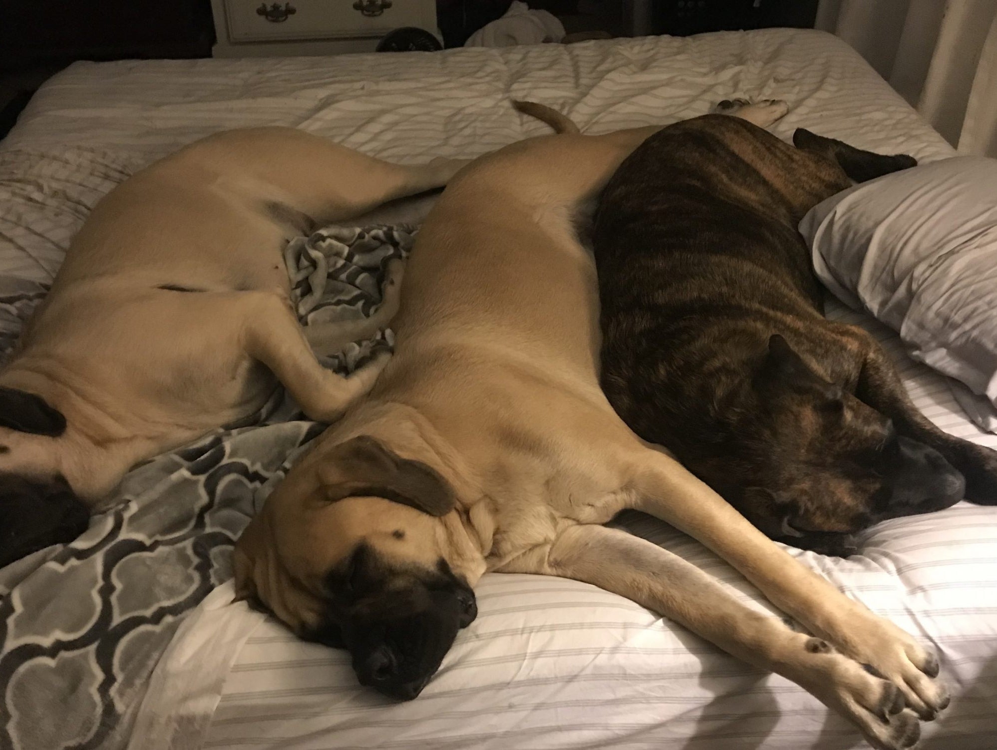 A Daily Routine for Recovery: Part 1